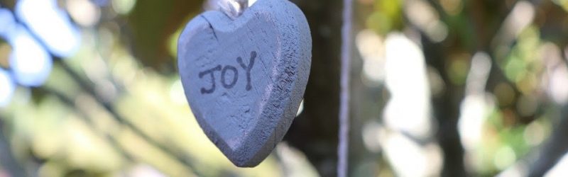 joy-4575615_960_720